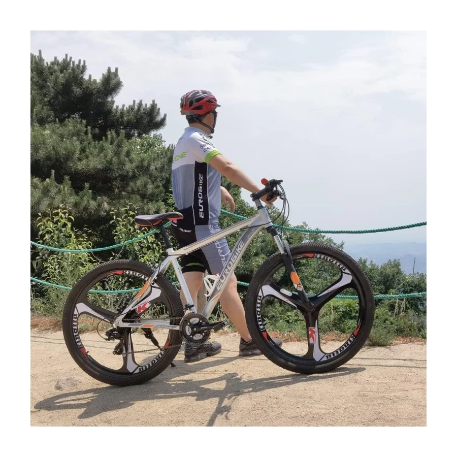 Eurobike Mountain Bikes 29 inch 3 Spoke Wheel X9