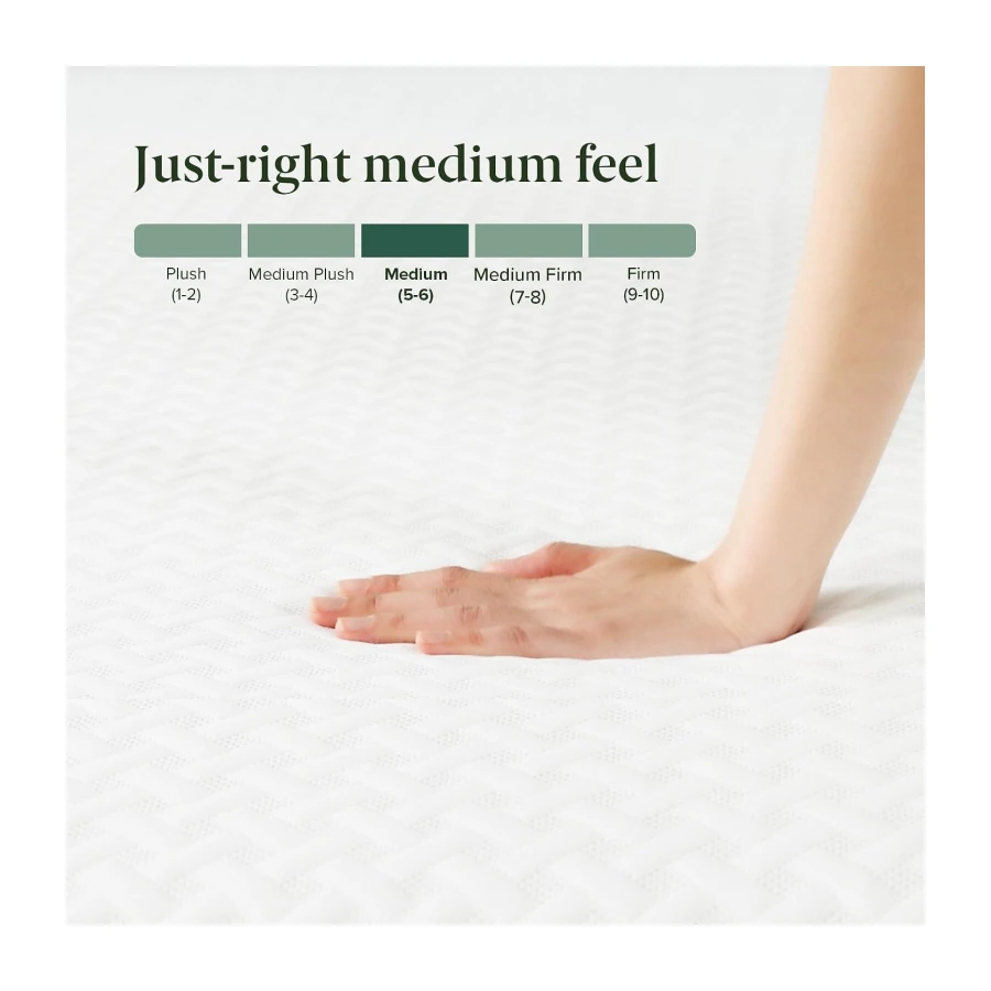 Zinus Full Mattress - 8 Inch Green Tea Essential Foam Mattress
