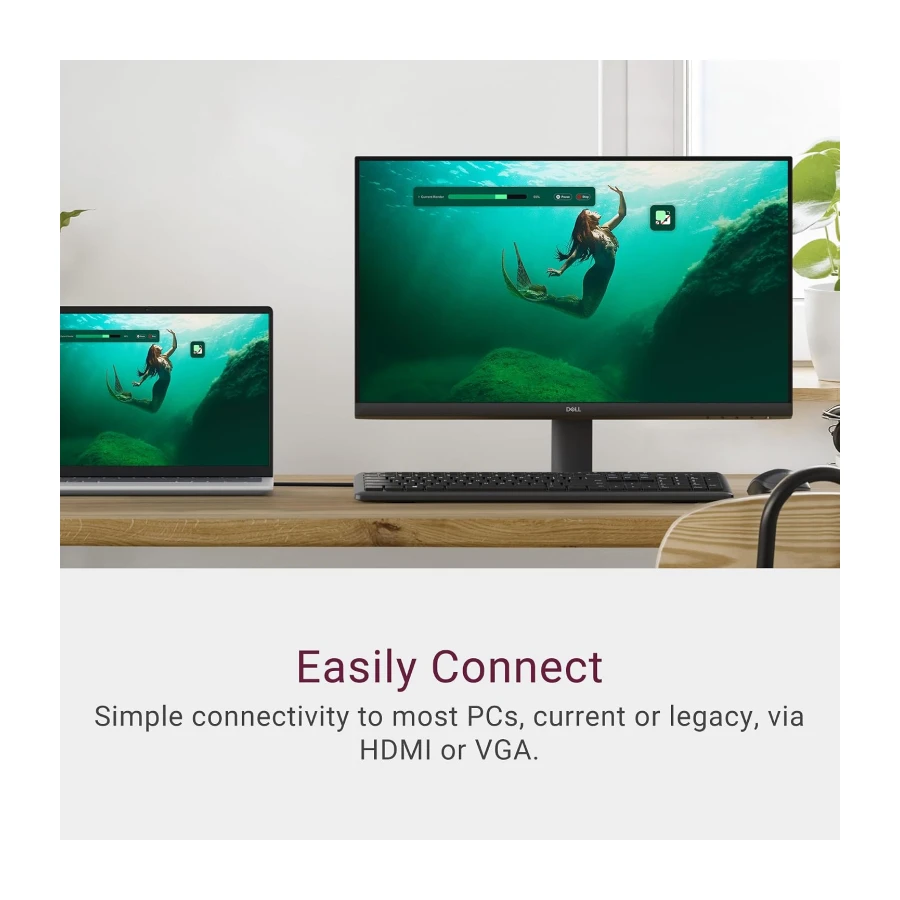 Dell 24 Monitor - SE2425HM - 23.8-inch Full HD