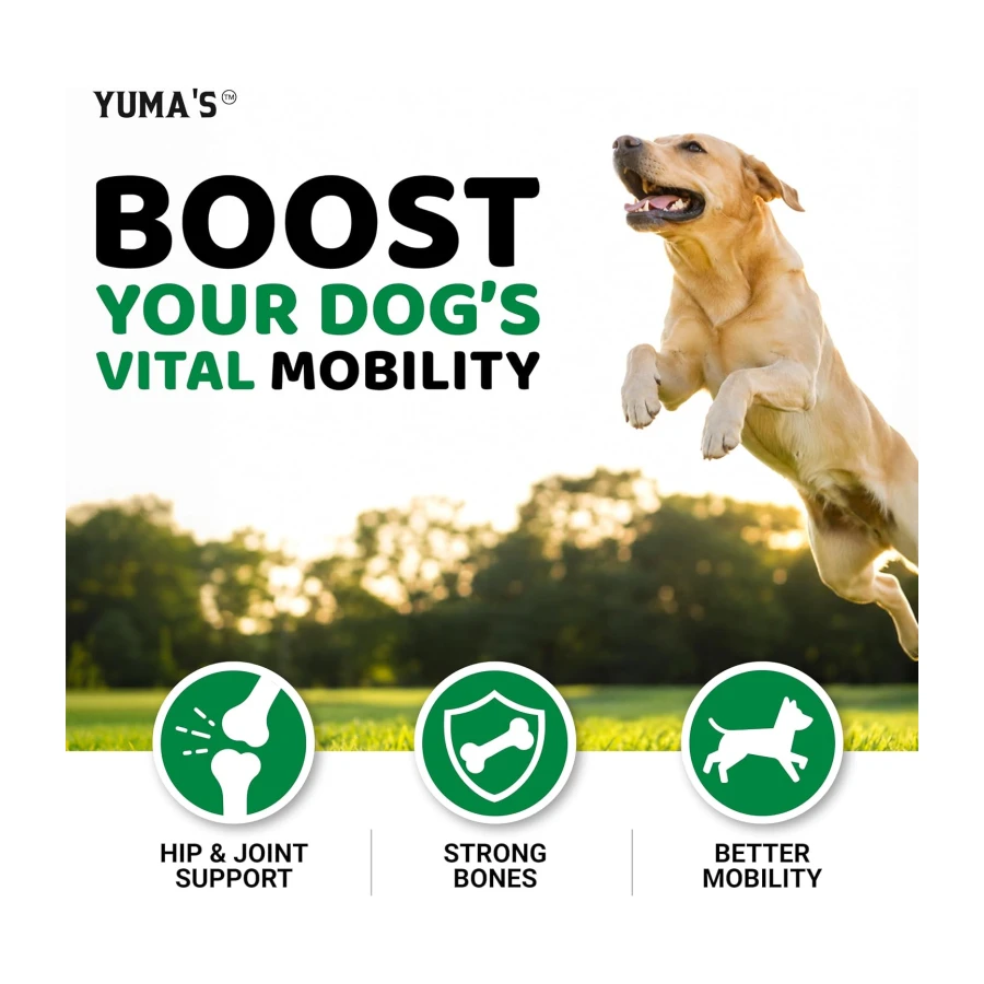 Glucosamine for Dogs - 240 Chews - Hip and Joint Supplement for Dogs