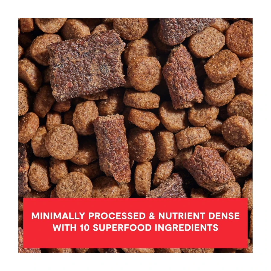 Open Farm Epic Blend Grain Free Dry Dog Food, Beef Kibble, 18lb Bag
