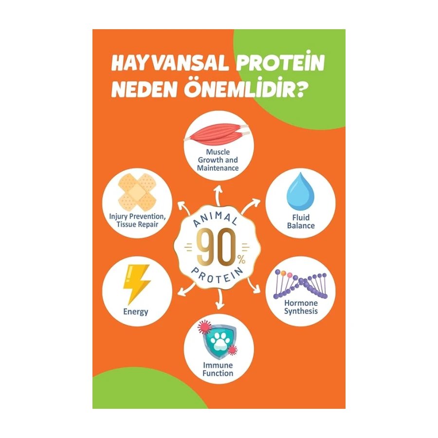 Solomon Kısırlaştırılmış Somon'lu Süper Premium Kedi Maması 9 kg - Hipoalerjenik - Düşük Tahıllı - Yüksek Hayvansal Protein - Tüy Dökülme Engelleyici - Kolay Sindirilebilir - Kuru Kedi Maması