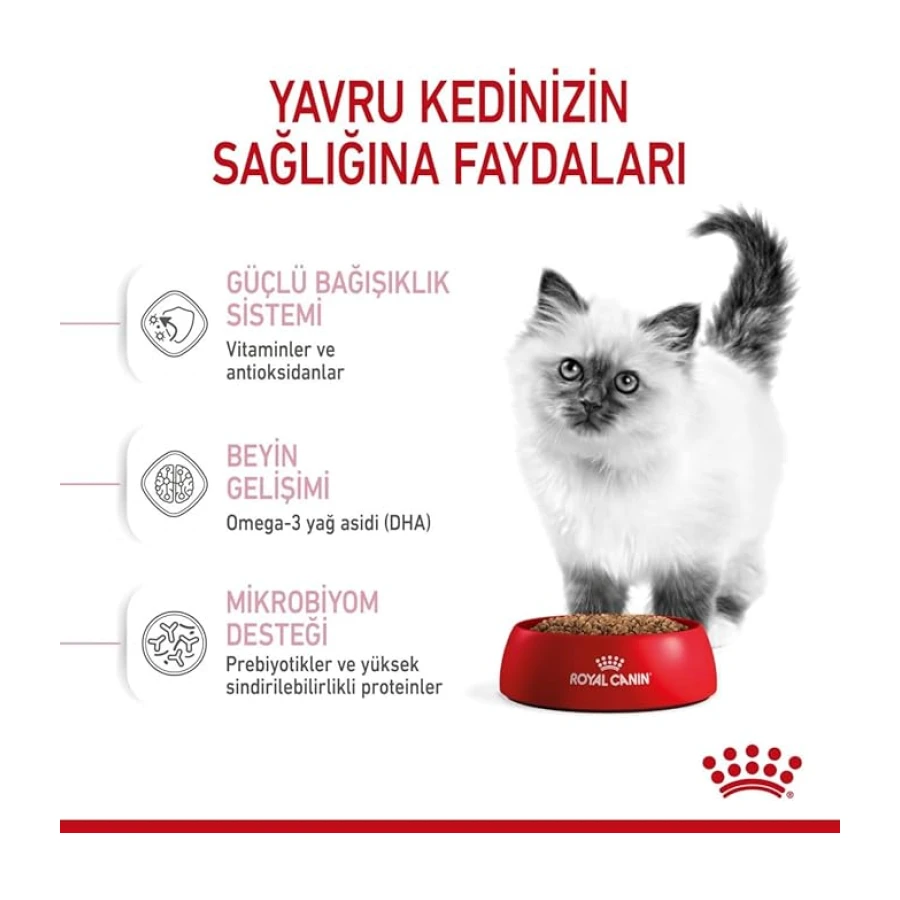 Royal Canin Kitten Kedi Maması, 10 Kg