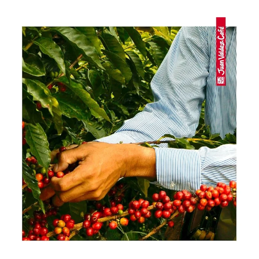 Juan Valdez Volcan Öğütülmüş Güçlü Kahve, 250g, Premium Selection, Koyu Kavrulmuş