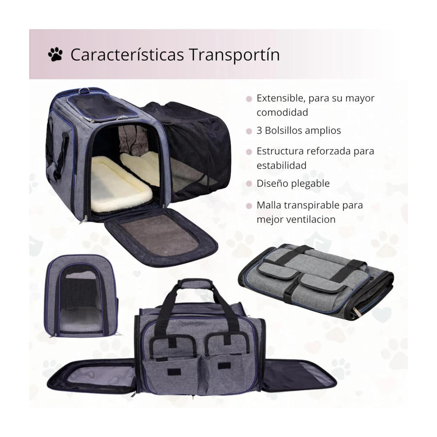 Kit Completo Gatos Accesorios: transportin Gato Grande y arenero Gatos, comedero, Bebedero, camita y Pala - Ideal en Viajes, Coche, Vacaciones y Bienvenida al hogar (Rosa)