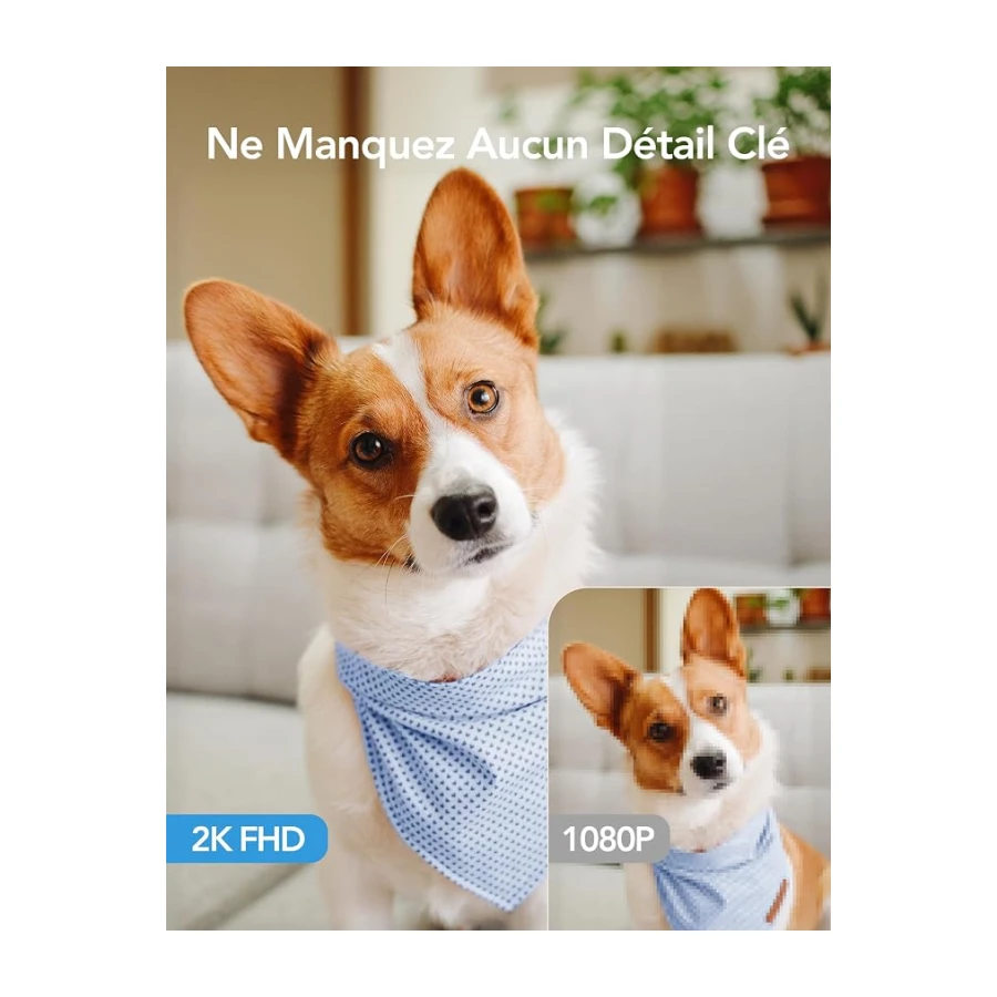 GNCC Caméra Surveillance WiFi Intérieure 2K 3MP pour Bébé/Animaux(Lot de 1) | 2.4G/5GHz WiFi, Vision Nocturne Infrarouge, SD/Cloud, 360° PTZ, Audio Bidirectionnel, Détection de Mouvement, Alarme, Alexa
