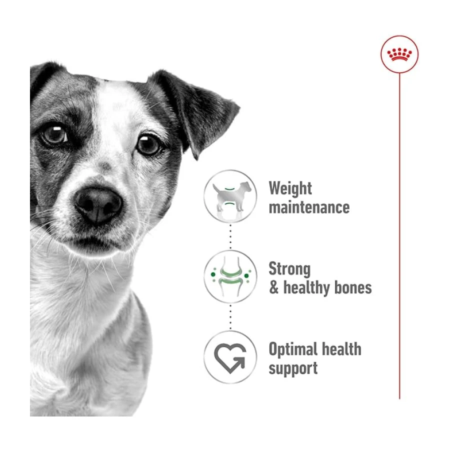 Royal Canin Mini Adult Küçük Irk Yetişkin Köpek Maması 4 Kg