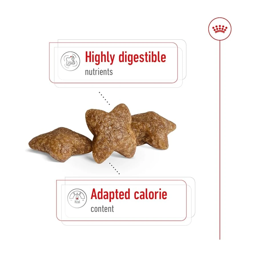 Royal Canin Mini Adult Küçük Irk Yetişkin Köpek Maması 4 Kg