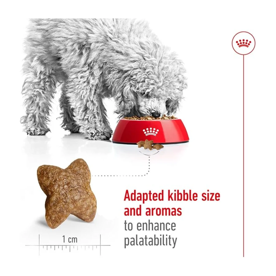 Royal Canin Mini Adult Küçük Irk Yetişkin Köpek Maması 4 Kg