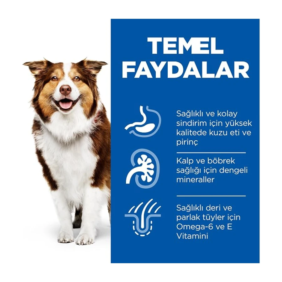 Hill's SCIENCE PLAN Light +7 Yaşlı Orta Irk Kuzulu ve Pirinçli Köpek Maması 14 kg
