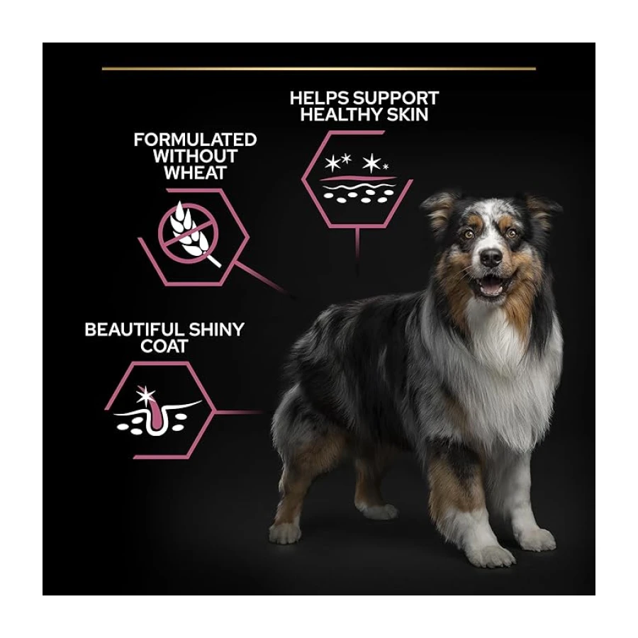 Pro Plan Orta Yetişkin Köpek Maması Somonlu, 14 kg