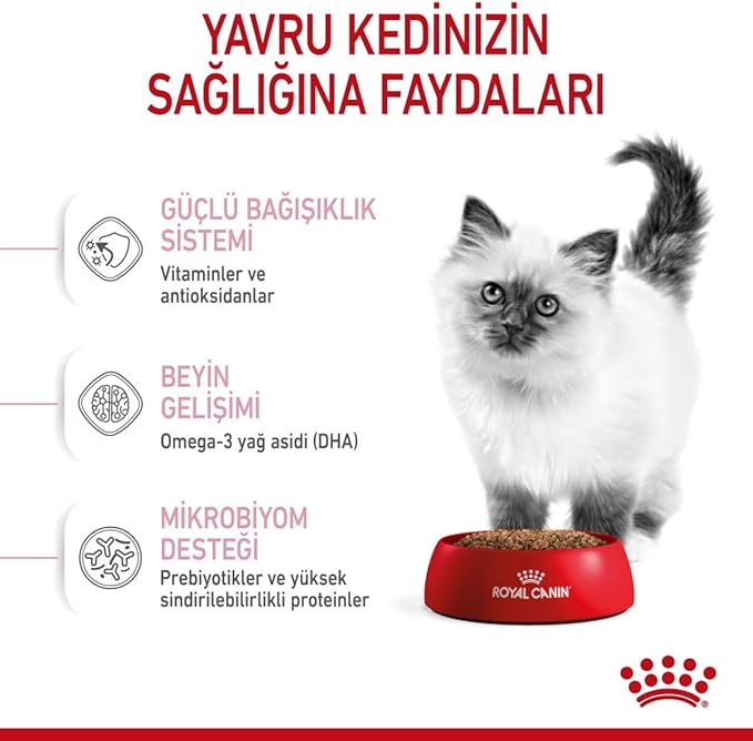 Royal Canin Kitten Kedi Maması, 10 Kg