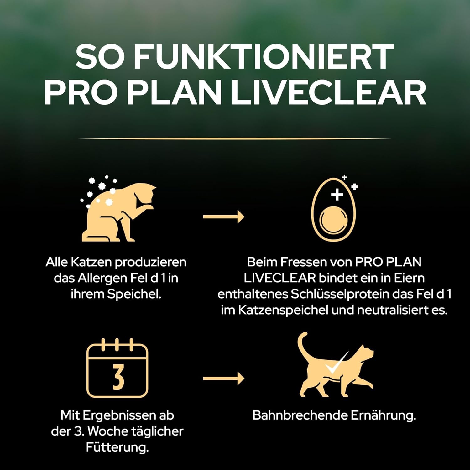 Pro Plan Liveclear 7+ Hindili Kısırlaştırılmış Kedi Maması 1.4 kg